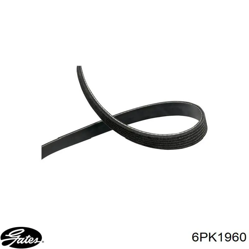 Comprar 809221210 Subaru Correa trapezoidal