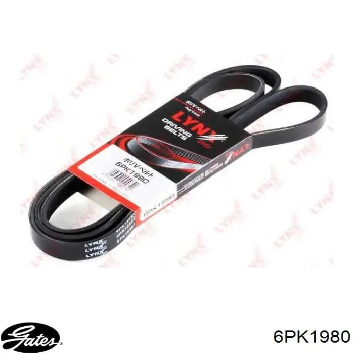 Correa accesorios Mercedes A0079978092