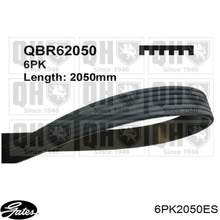 A0089979392 Mercedes Correa poly v