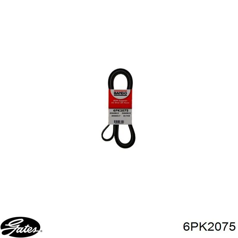 Comprar 6PK2075 Gates Correa trapezoidal
