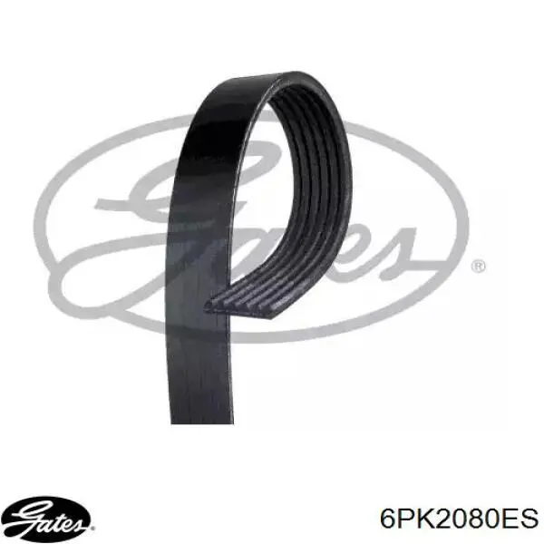 6PK2080ES Gates Correa poly v