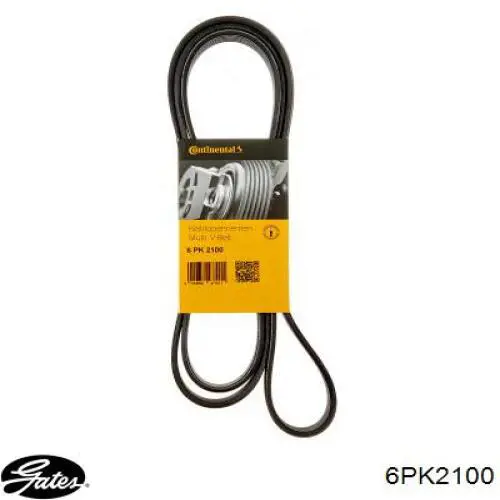 6PK2100 Gates Correa poly v