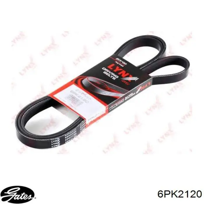 Correa accesorios Ssang Yong 0119978092
