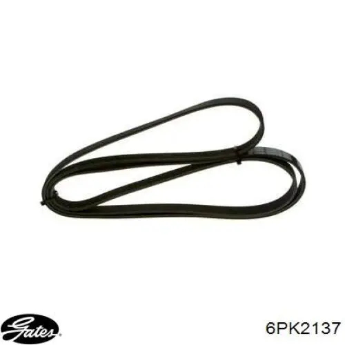 Comprar 6PK2137 Gates Correa trapezoidal