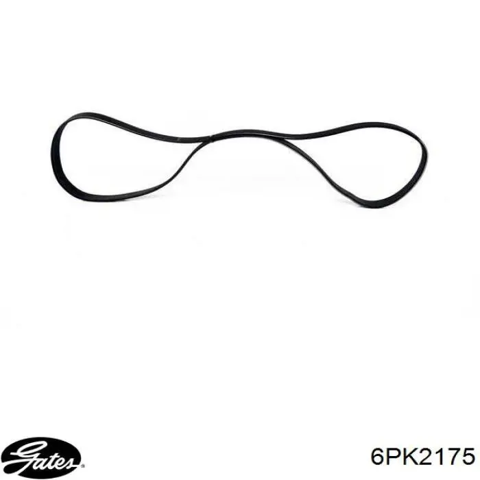 Comprar 39796 Febi Correa trapezoidal