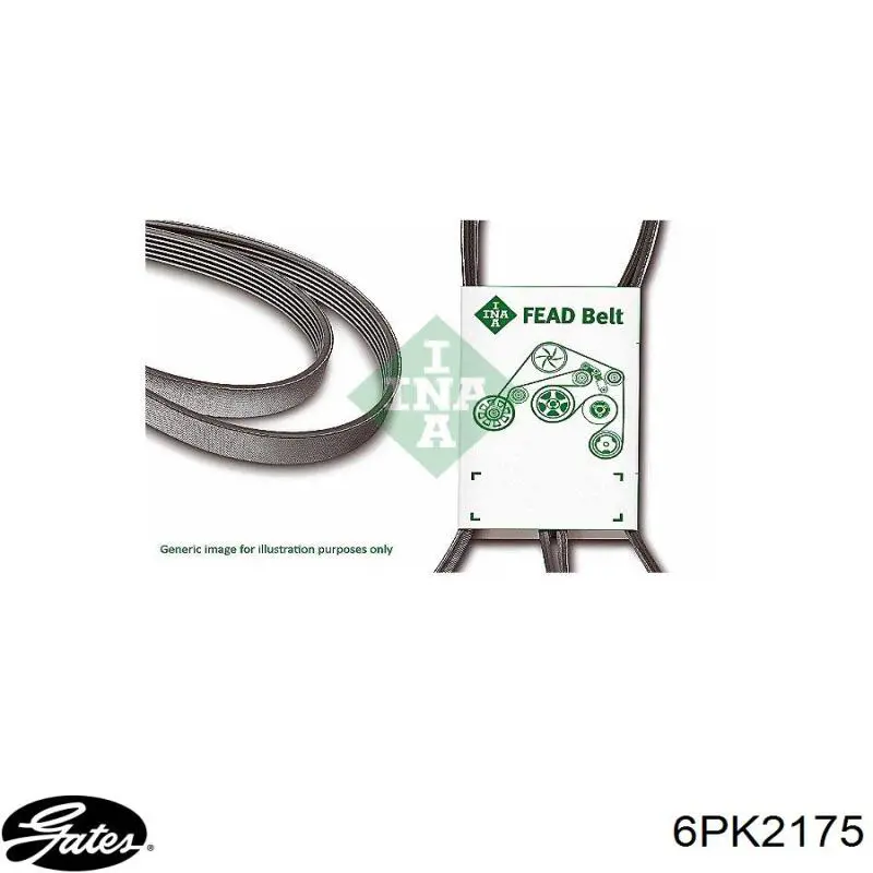 Correa de alternador 39796 Febi