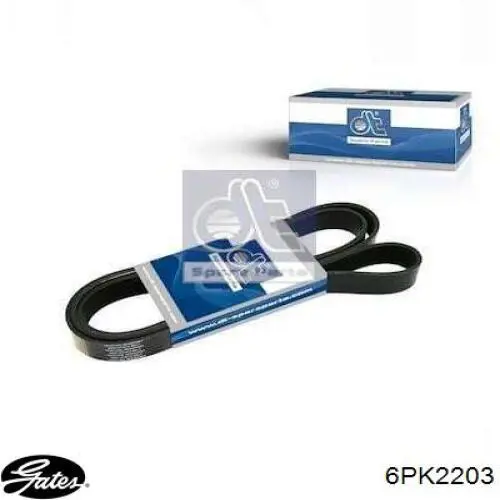 252122E000 Hyundai/Kia Correa poly v