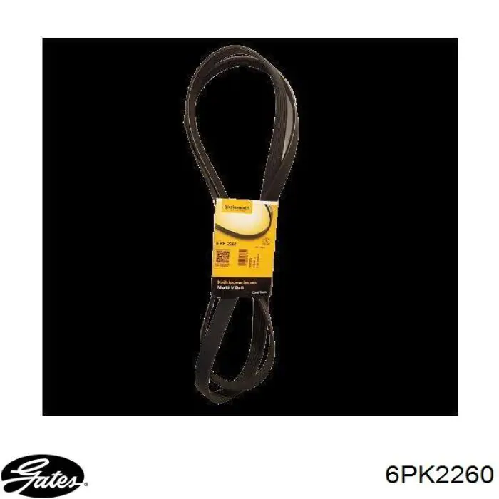Comprar 6PK2260 Gates Correa trapezoidal