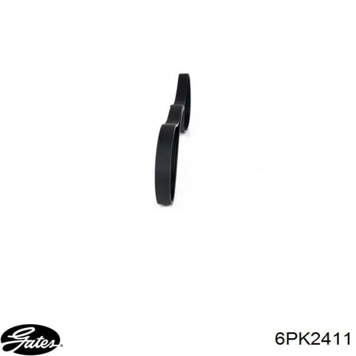 6PK2411 Gates Correa poly v
