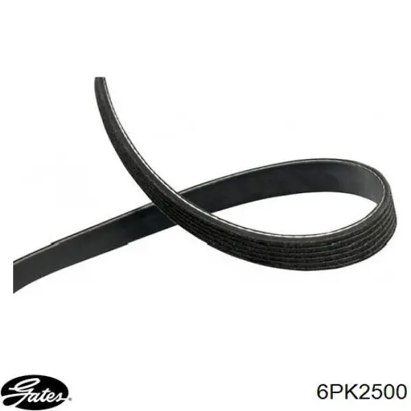 6PK2500 Dongil Correa poly v