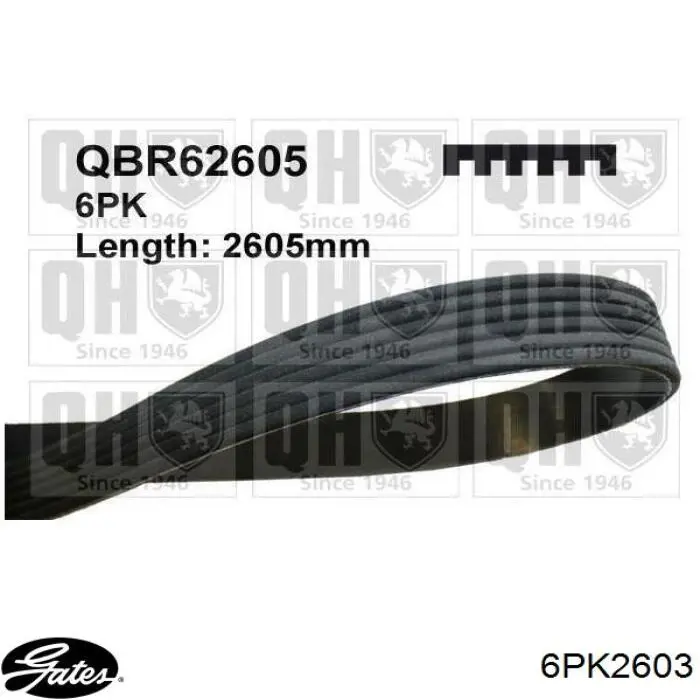 Comprar 6PK2603 Gates Correa trapezoidal