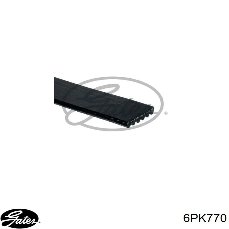 6PK770 Dayco Correa poly v