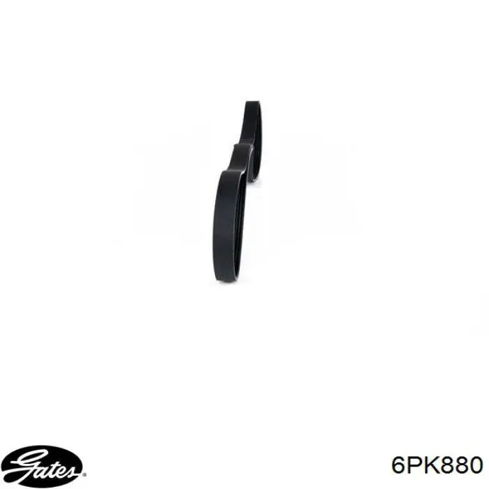 VKMV6PK880 SKF Correa poly v