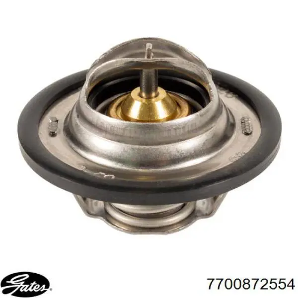 Termostato, refrigerante Renault Laguna 2 BG0, BG1