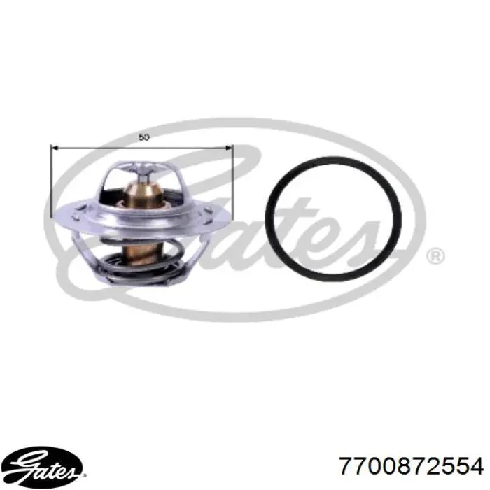 Termostato, refrigerante Renault Laguna 2 BG0, BG1