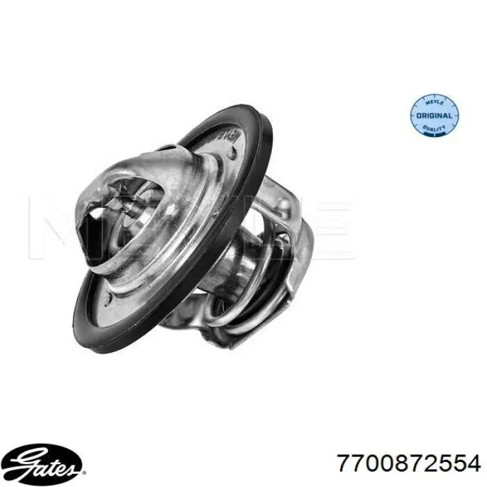 Termostato, refrigerante Renault Laguna 2 BG0, BG1