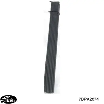 Correa accesorios Gates 7DPK2074