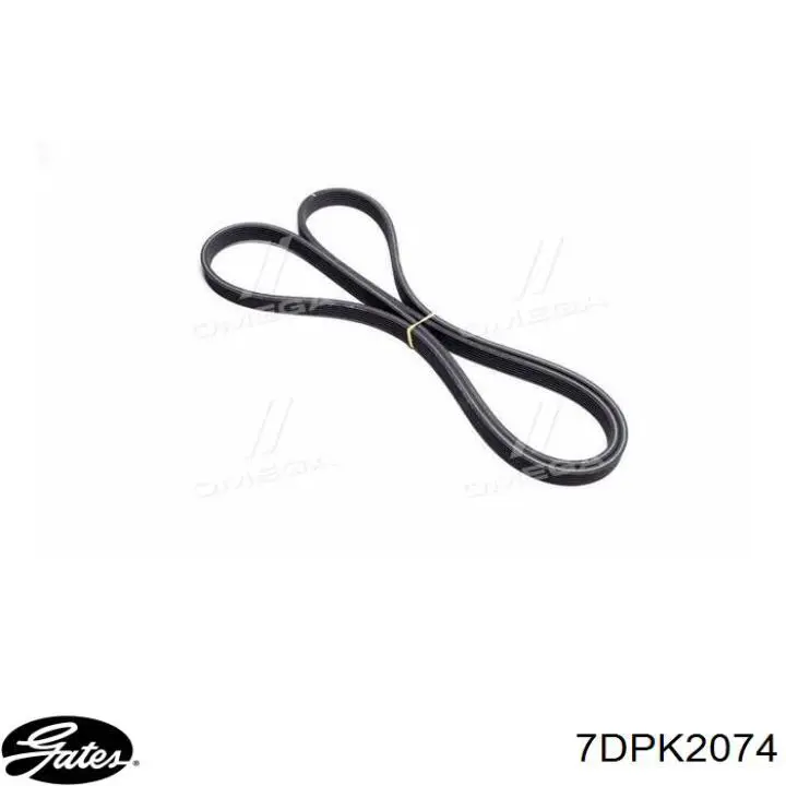 Comprar 7DPK2074 Gates Correa trapezoidal