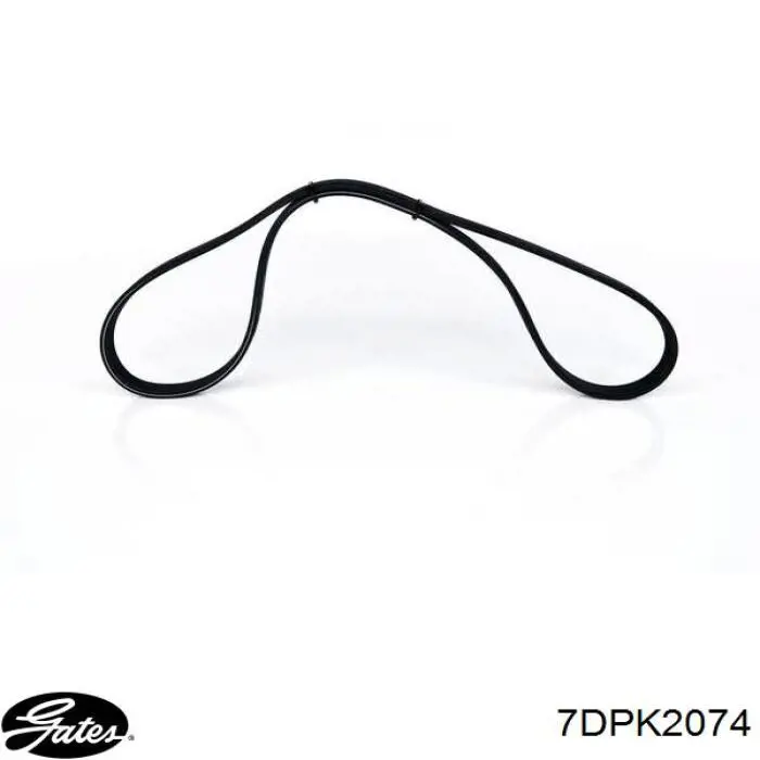 Correa de alternador 7DPK2074 Gates