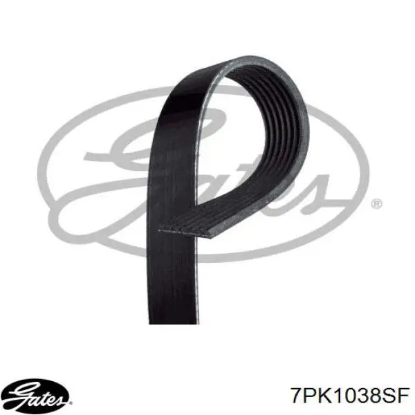 Comprar 7PK1039EE Dayco Correa trapezoidal