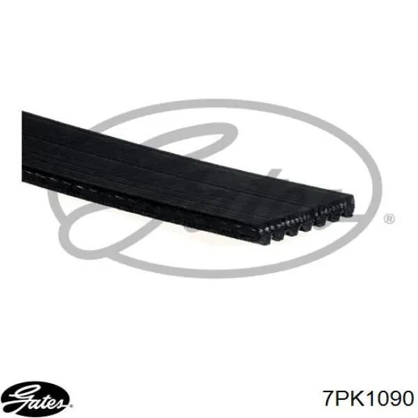 Correa de transmisión trapezoidal Gates 7PK1090 precio, desde 11,21 EUR