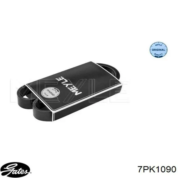 7PK1090 Gates Correa poly v