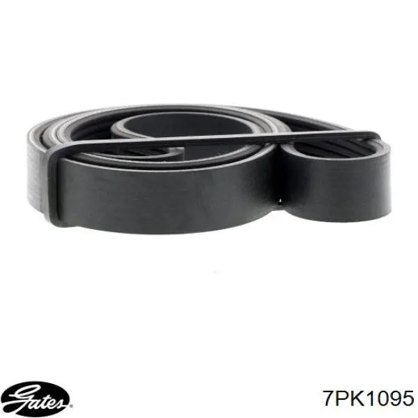 9091602523 Toyota Correa poly v