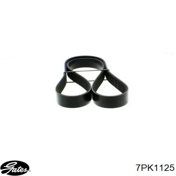 Correa de alternador 7PK1125 Gates