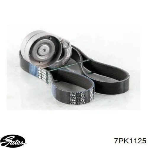Correa accesorios Gates 7PK1125