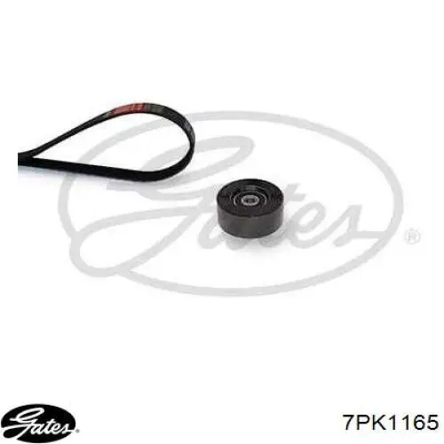 117201HC1A Nissan/Infiniti Correa poly v