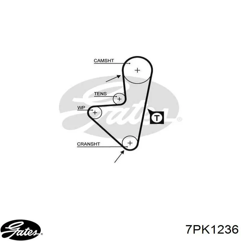 7PK1236 Gates correa trapezoidal