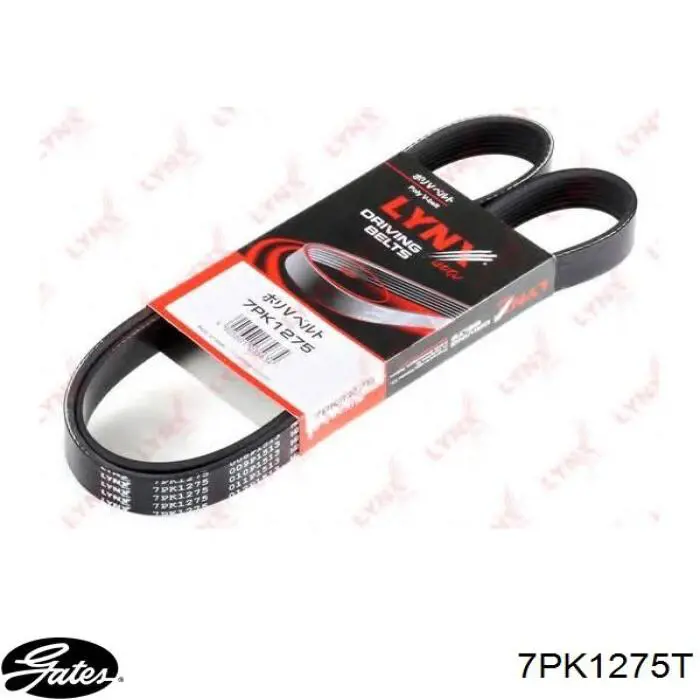 Comprar 7PK1275T Gates Correa trapezoidal