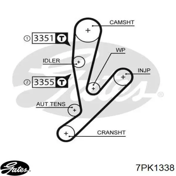 Correa de alternador 117207977R Renault (RVI)