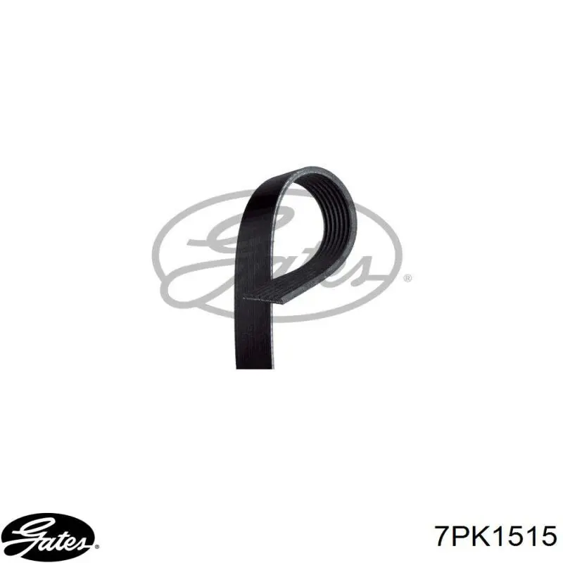 Comprar 7PK1515 Gates Correa trapezoidal