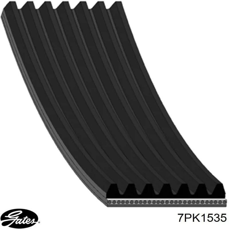 Comprar 7PK1535 Dayco Correa trapezoidal
