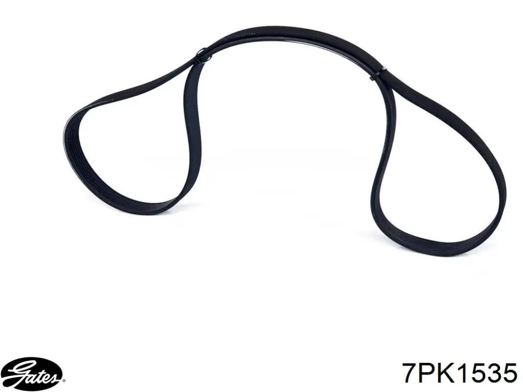 Correa de transmisión trapezoidal Dayco 7PK1535 precio, desde 20,80 EUR