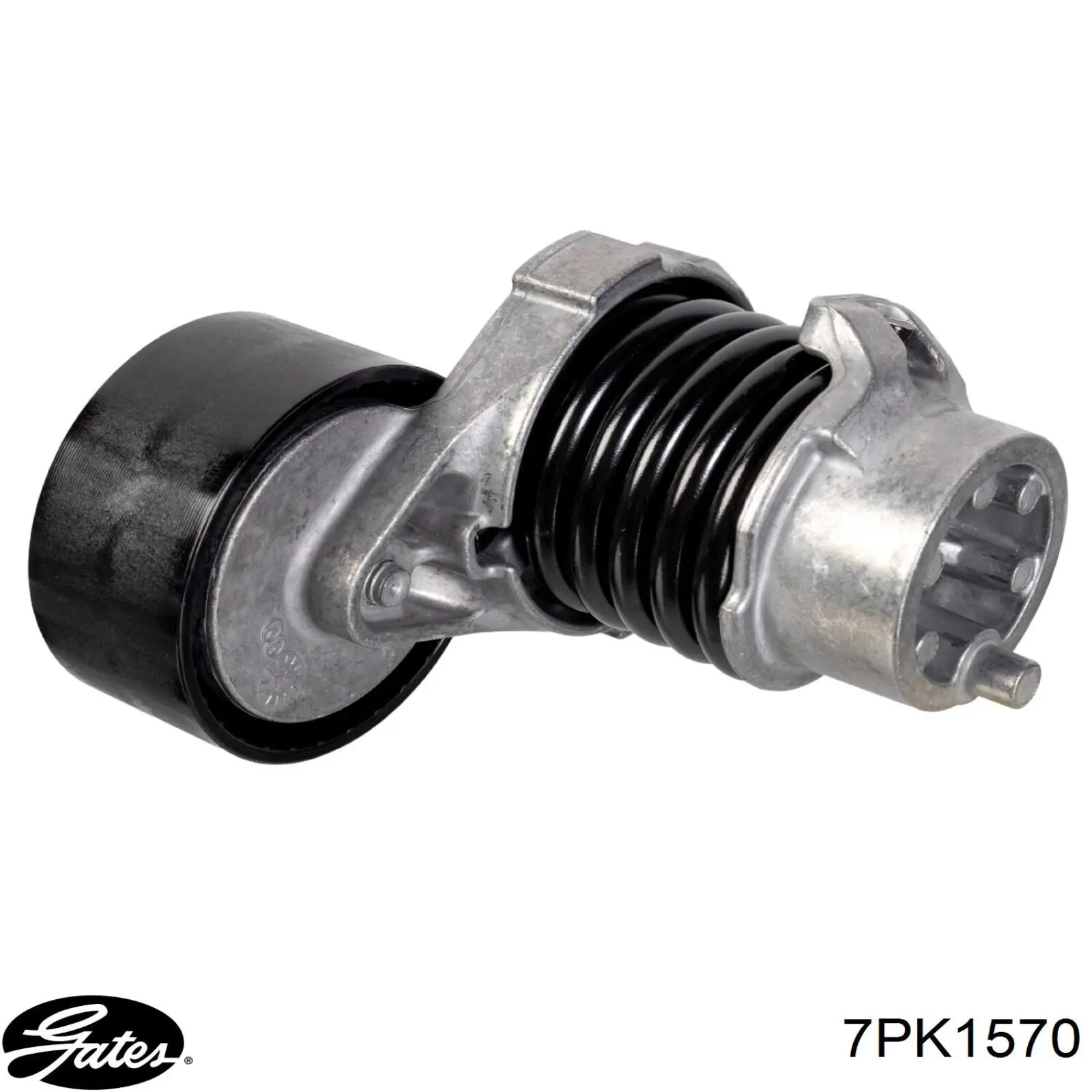 Correa de alternador 7PK1570 Gates