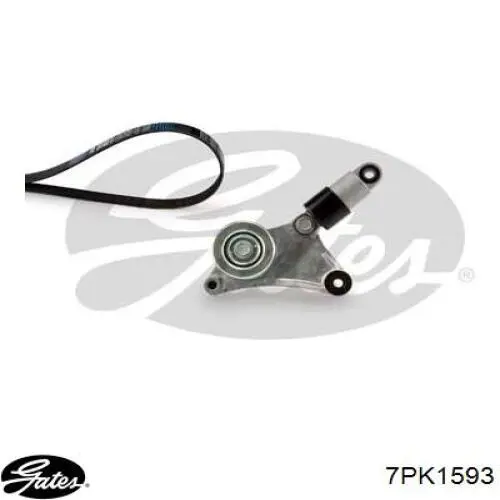 Correa accesorios INA FB7PK1593