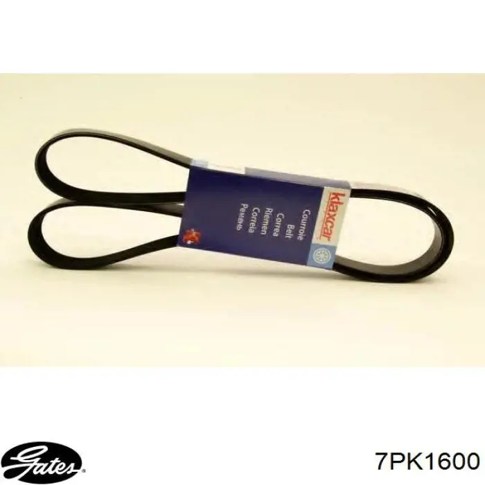 Comprar 7PK1600 Gates Correa trapezoidal