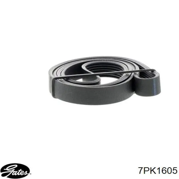 7PK1610 Gates Correa poly v