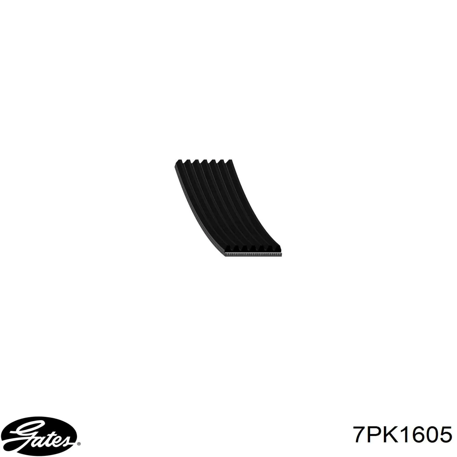 Correa accesorios Gates 7PK1610
