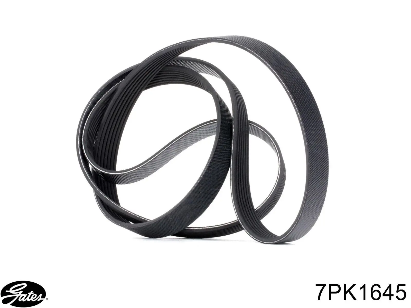 Correa de transmisión trapezoidal Open Parts PVB164007 precio, desde 24,88 EUR