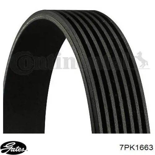 Comprar 117205152R Nissan/Infiniti Correa trapezoidal