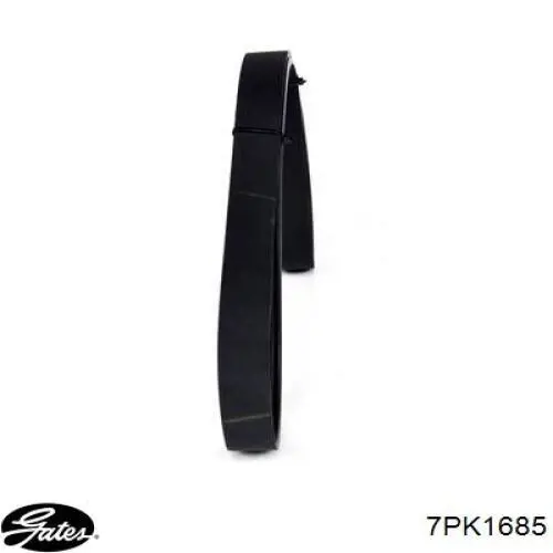 Correa de alternador 7PK1685 Gates