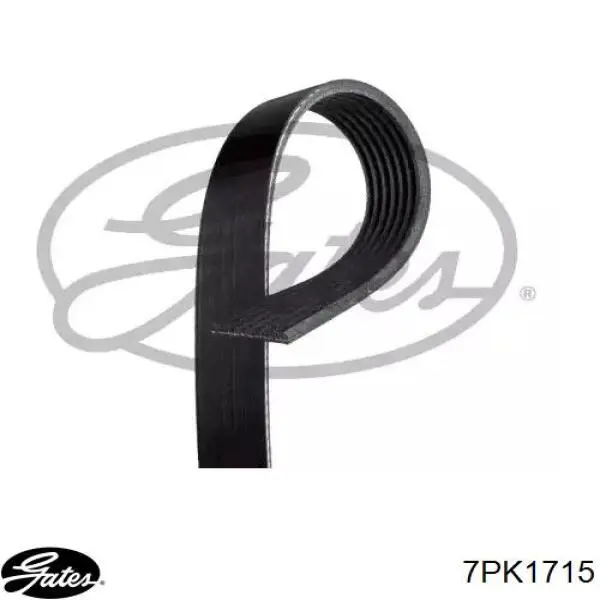 Correa de transmisión trapezoidal Gates 7PK1715 precio, desde 25,47 EUR