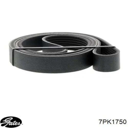 Correa de transmisión trapezoidal Renault (RVI) 117205X00A precio, desde 23,28 EUR