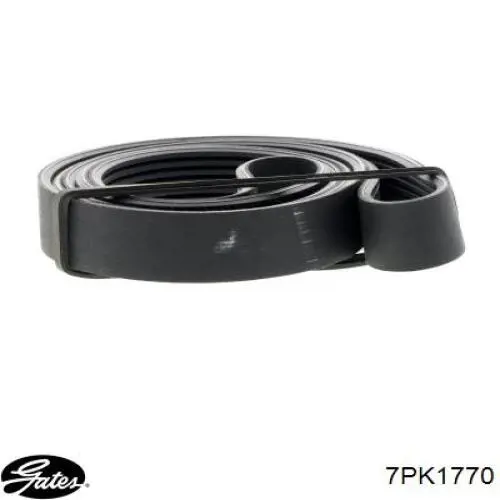 Comprar 56992PZDA01 Honda Correa trapezoidal