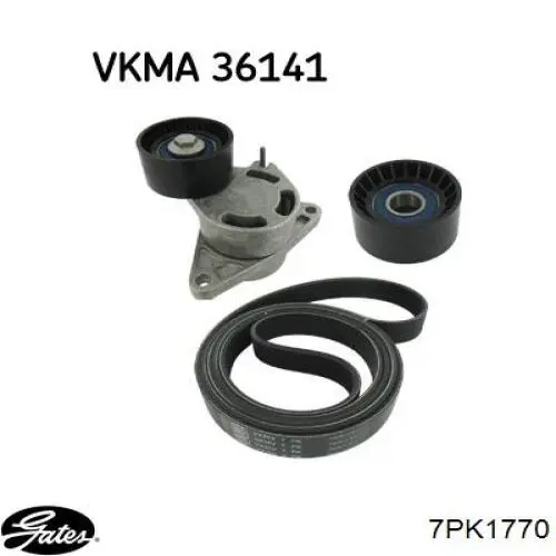 Correa de alternador 56992PZDA01 Honda