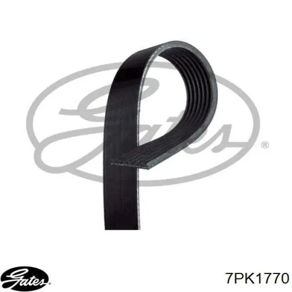 56992PZDA01 Honda Correa poly v