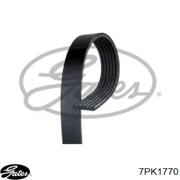 Correa de transmisión trapezoidal Honda 56992PZDA01 precio, desde 20,52 EUR